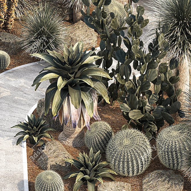 Desert Oasis Plant Collection 3D model image 6