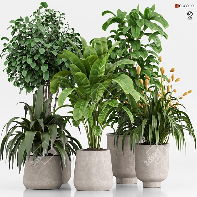 Set of Indoor Plants Icons 3D model image 1