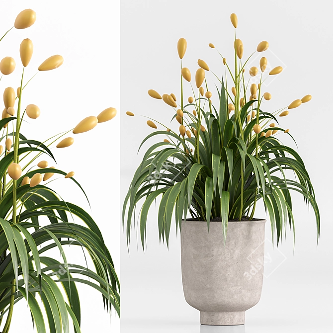 Set of Indoor Plants Icons 3D model image 4