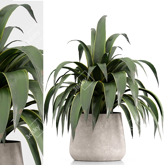 Set of Indoor Plants Icons 3D model image 6