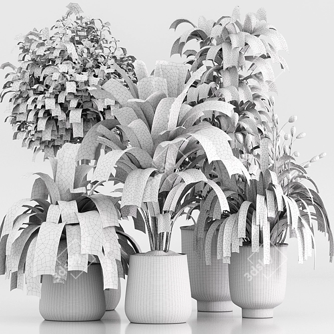 Set of Indoor Plants Icons 3D model image 7