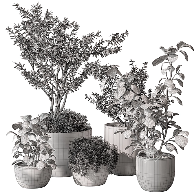 Indoor Greenery Collection: Tree & Bush 3D model image 4