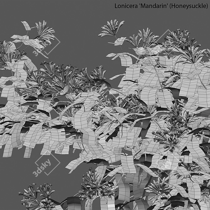 Complete 3D Plant Models Solution 3D model image 5