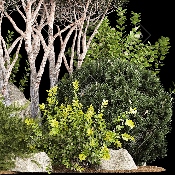 Premium Landscape Plant Collection 3D model image 2