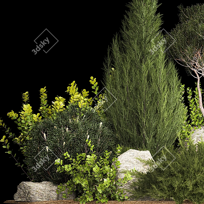 Premium Landscape Plant Collection 3D model image 6