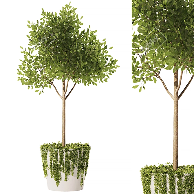 Mediterranean Style Olive Ivy Set 3D model image 1