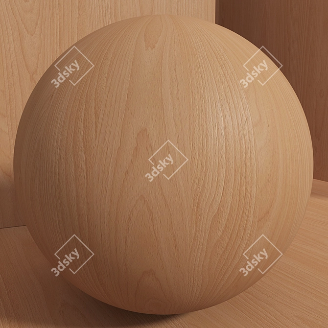 Seamless Beech Wood Texture Set 3D model image 2