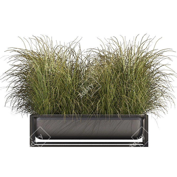  Premium Switchgrass Northwind Collection 3D model image 2