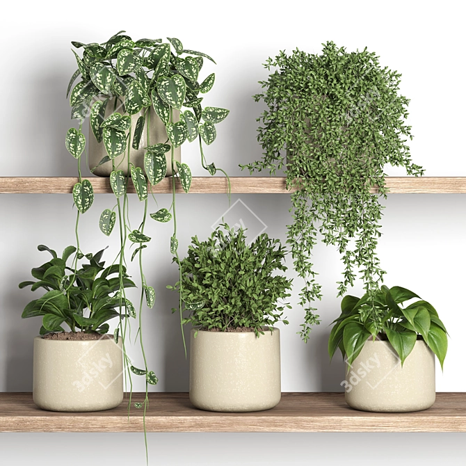 Plant Display Shelf with Greenery 3D model image 1