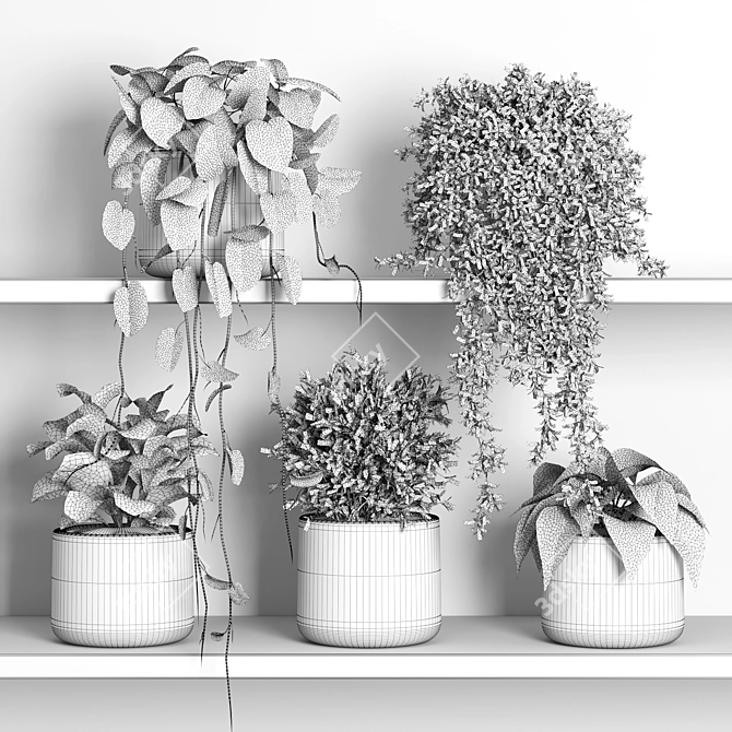 Plant Display Shelf with Greenery 3D model image 2