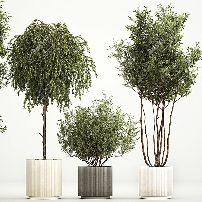 Elegant Potted Tree Set, 1221 3D model image 3