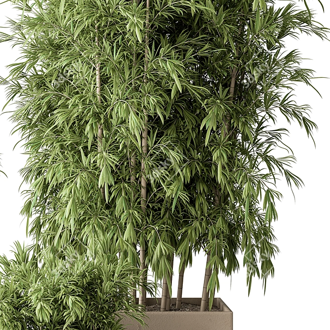 Bamboo Plant Box - Outdoor Greenery 3D model image 2