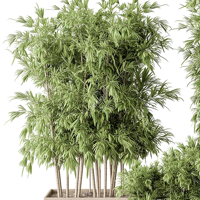 Bamboo Plant Box - Outdoor Greenery 3D model image 3