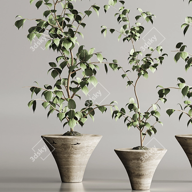 Modern Indoor Plant Set 105 3D model image 3