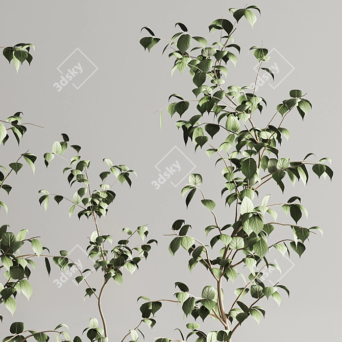 Modern Indoor Plant Set 105 3D model image 4