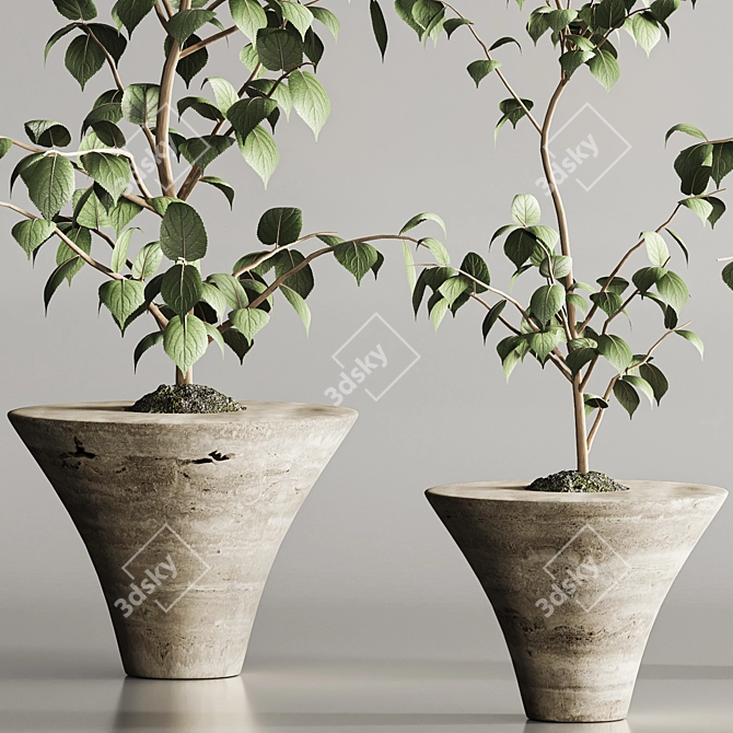 Modern Indoor Plant Set 105 3D model image 6