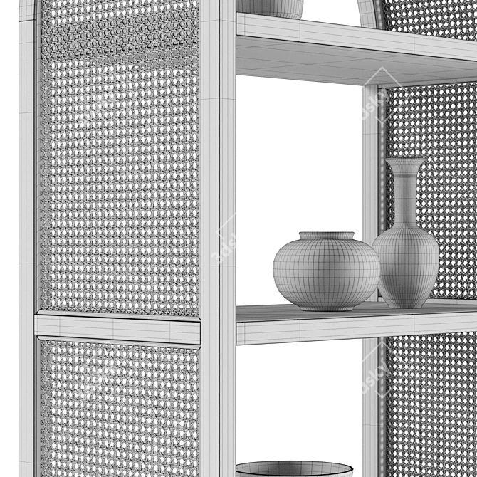 Natural Rattan Tall Shelving Unit 3D model image 3