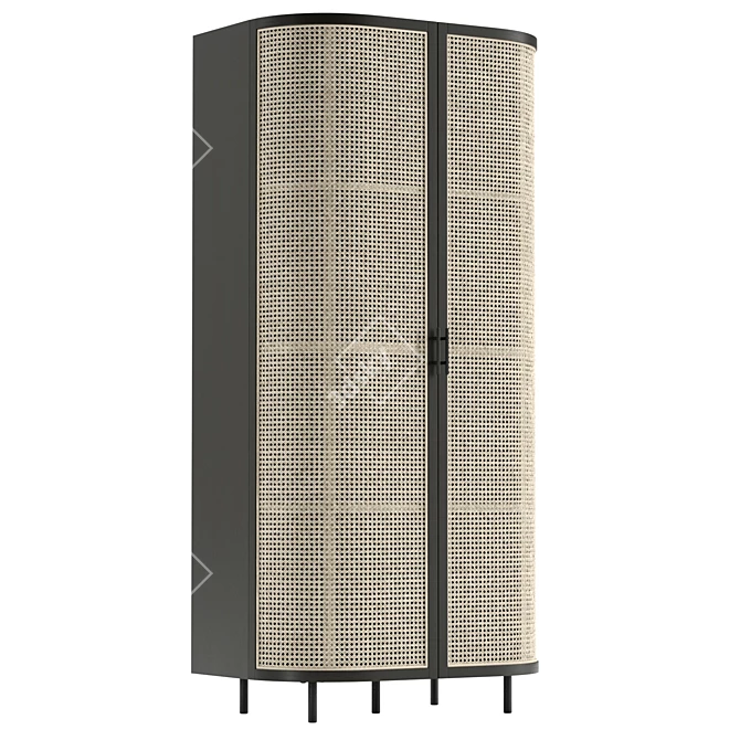 Modern Rattan Wardrobe: Sleek Design 3D model image 1