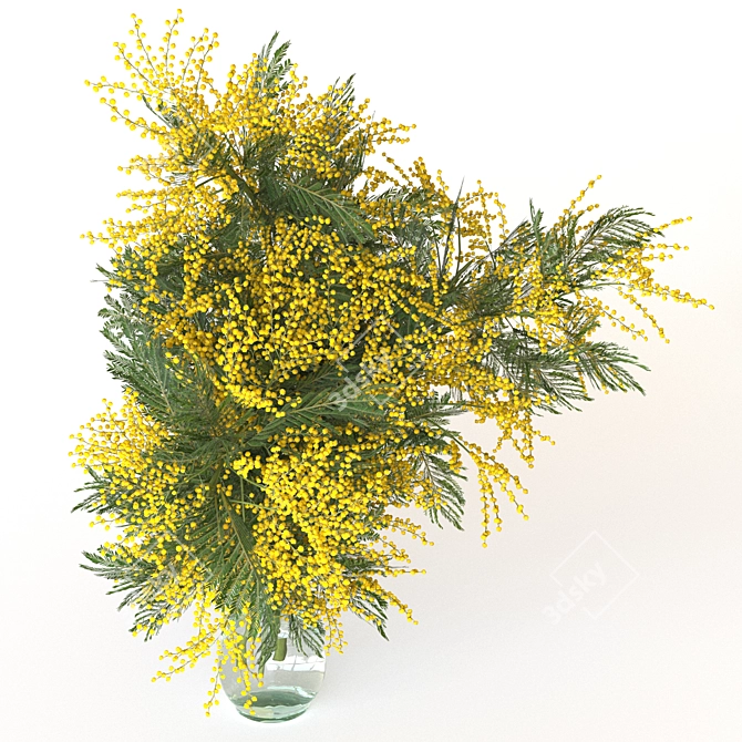 Mimosa Bouquet Collection for 3D 3D model image 2