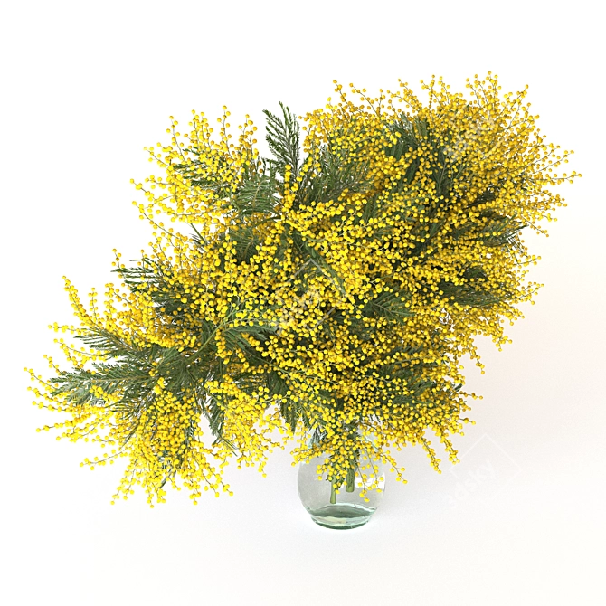 Mimosa Bouquet Collection for 3D 3D model image 3