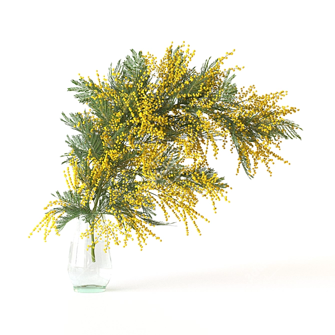 Mimosa Bouquet Collection for 3D 3D model image 6