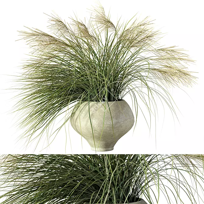 Nature's Harmony Grass Pampas Ensemble 3D model image 1