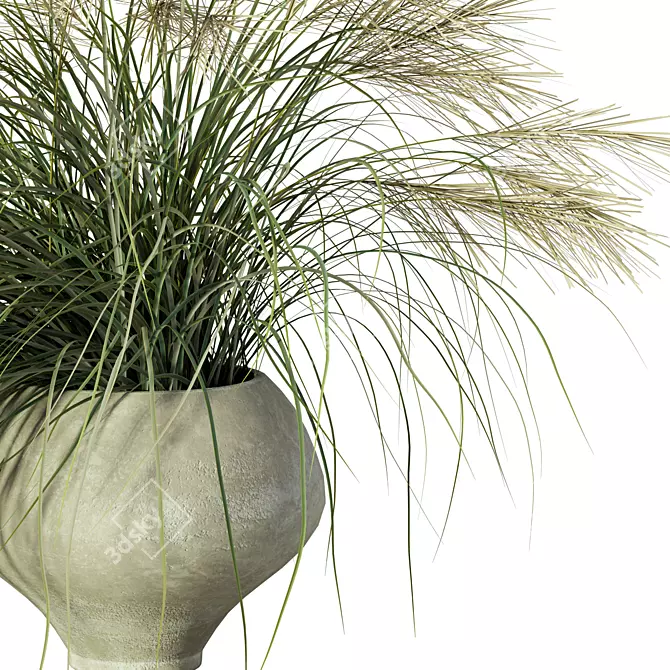 Nature's Harmony Grass Pampas Ensemble 3D model image 3