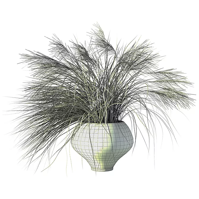 Nature's Harmony Grass Pampas Ensemble 3D model image 4