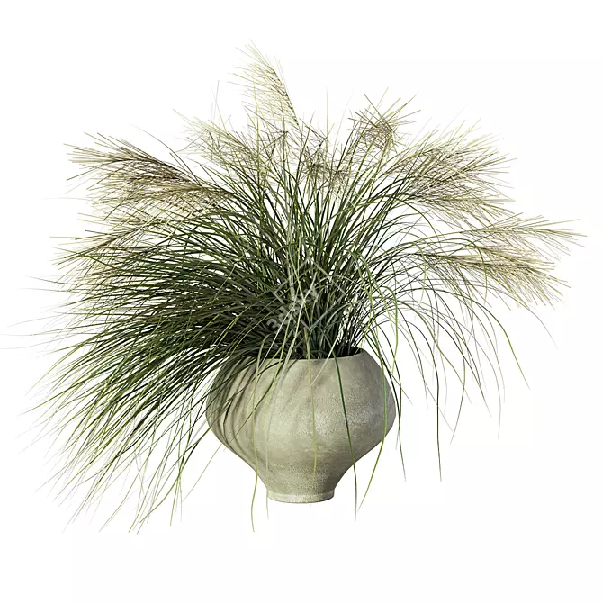 Nature's Harmony Grass Pampas Ensemble 3D model image 5