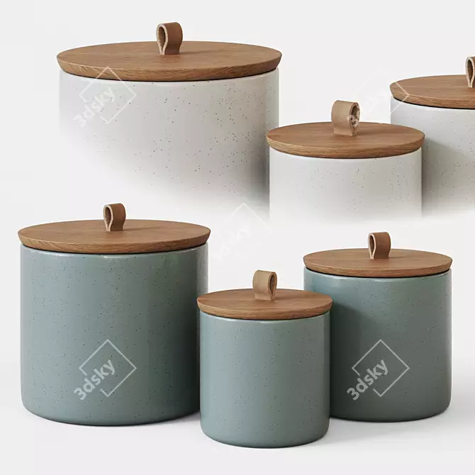 Elegant Pacifica Stoneware Canister 3D model image 1