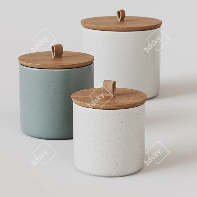 Elegant Pacifica Stoneware Canister 3D model image 4