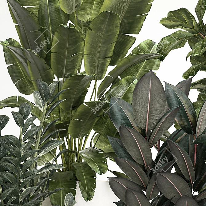 Tropical Plant Collection in Concrete Pots 3D model image 2