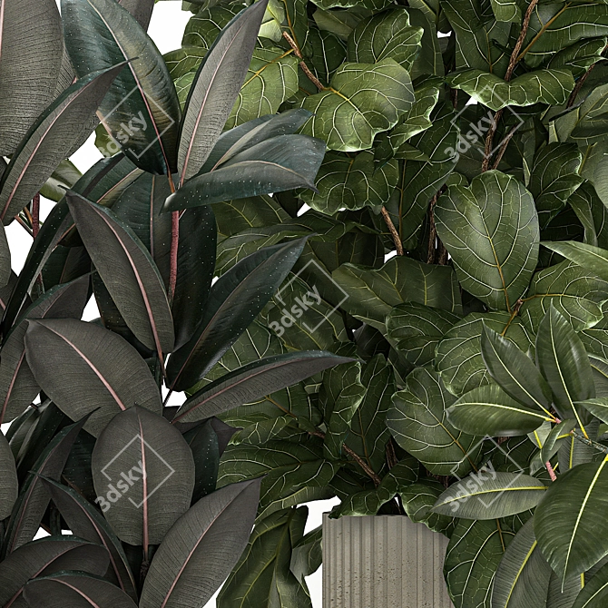 Tropical Plant Collection in Concrete Pots 3D model image 6