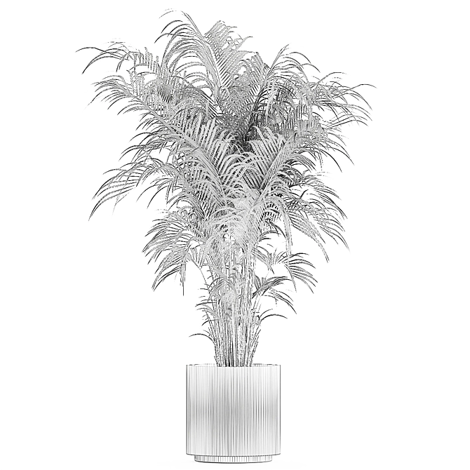 Modern Exotic Palm Plant Décor 3D model image 6