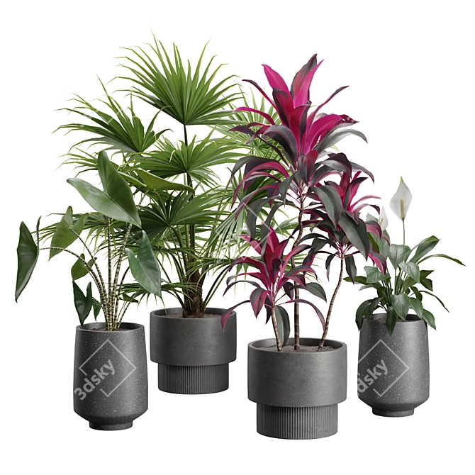 Exotic Indoor Plants Collection Pack 3D model image 1