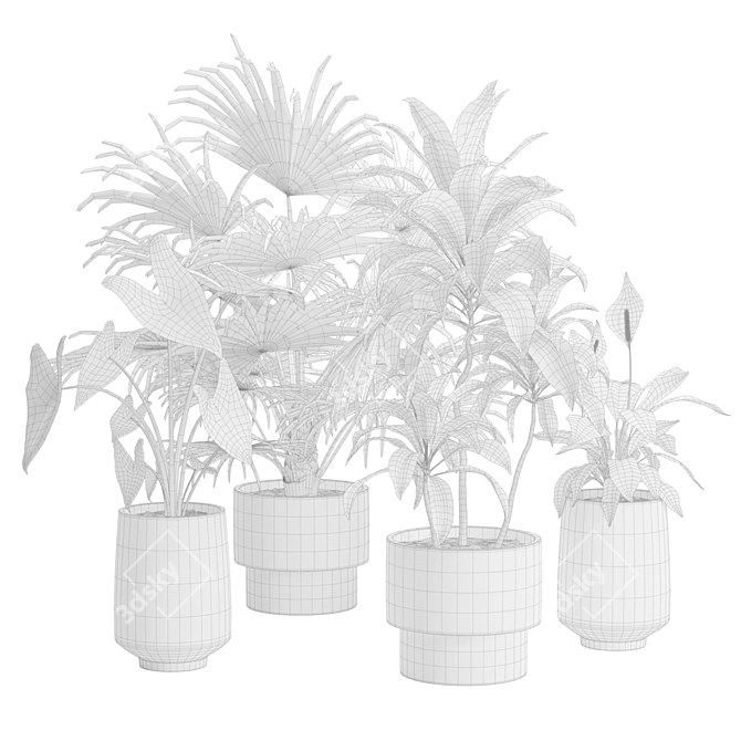 Exotic Indoor Plants Collection Pack 3D model image 2