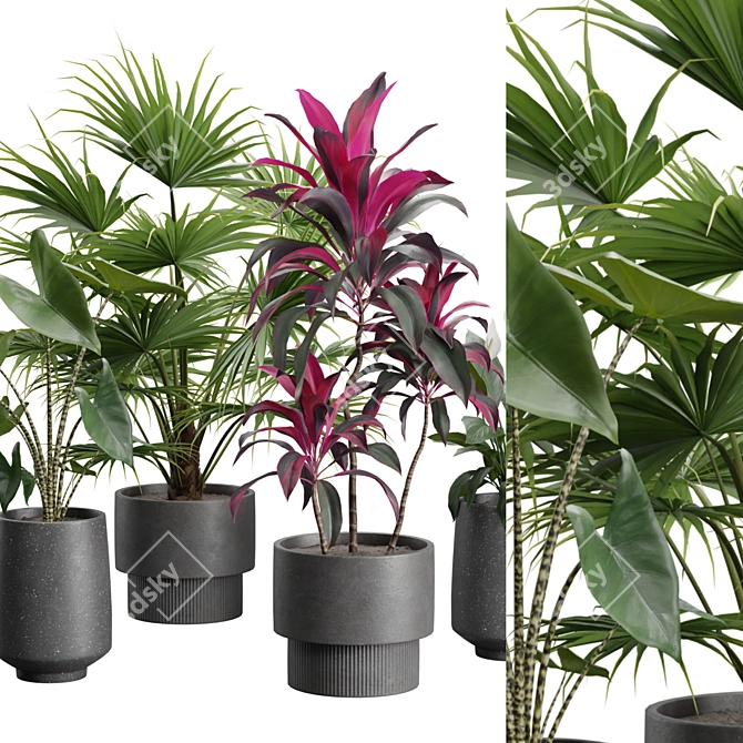 Exotic Indoor Plants Collection Pack 3D model image 3