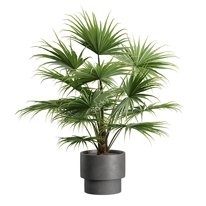 Exotic Indoor Plants Collection Pack 3D model image 4