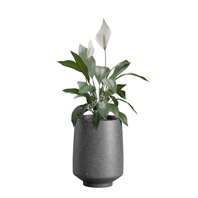 Exotic Indoor Plants Collection Pack 3D model image 6