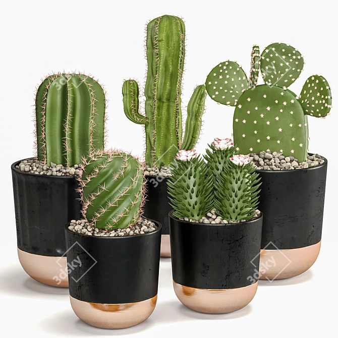 Succulent Trio Indoor Plant Set 3D model image 1