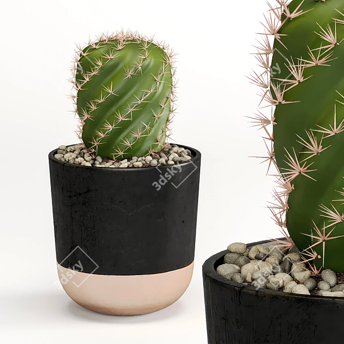 Succulent Trio Indoor Plant Set 3D model image 2