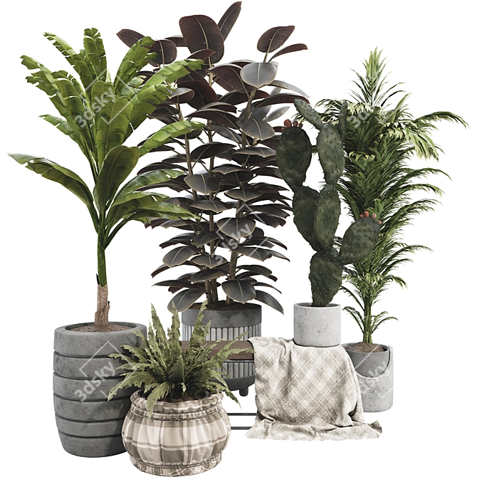 Boho Plant Collection Set 95 3D model image 1