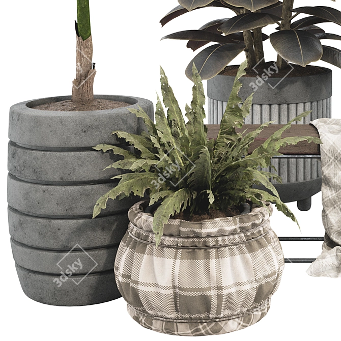 Boho Plant Collection Set 95 3D model image 2