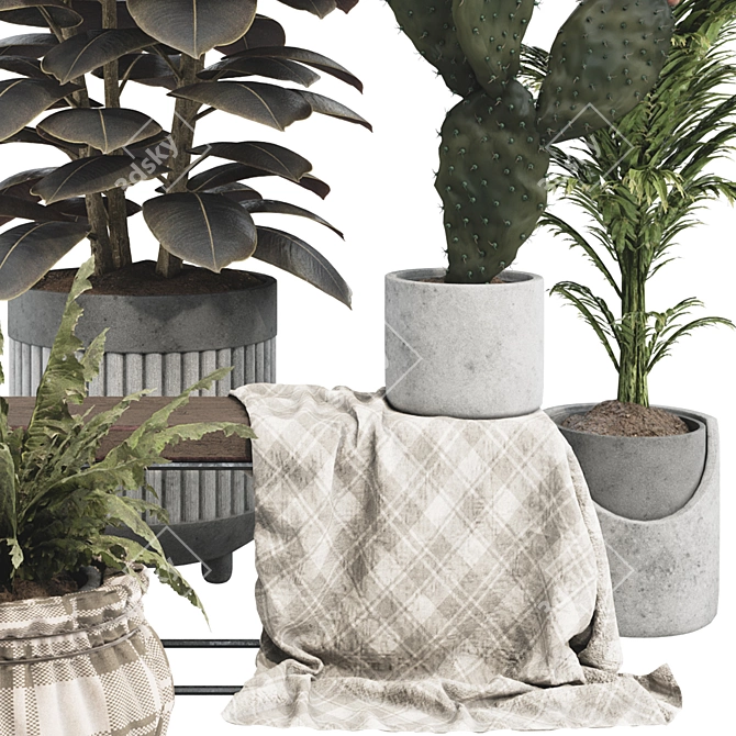 Boho Plant Collection Set 95 3D model image 3