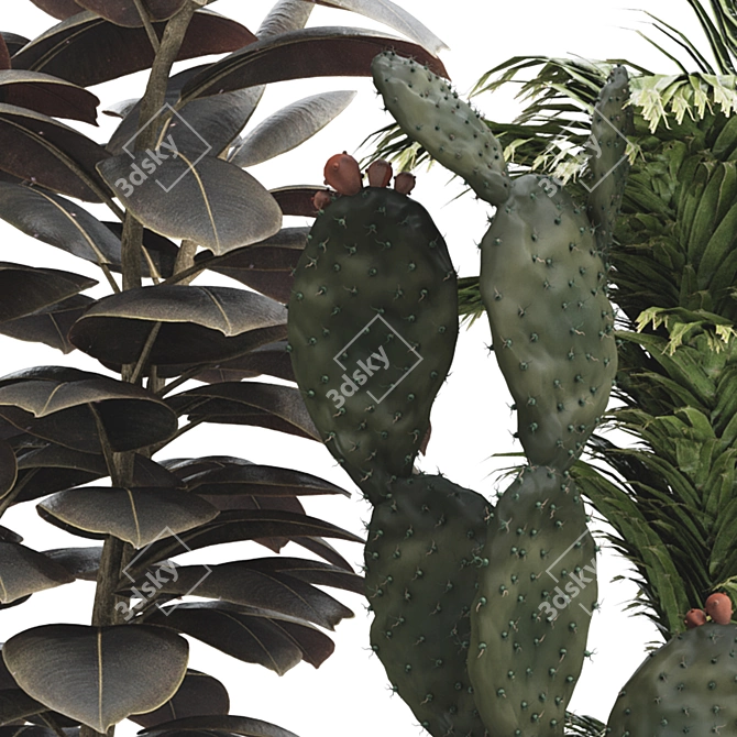 Boho Plant Collection Set 95 3D model image 6