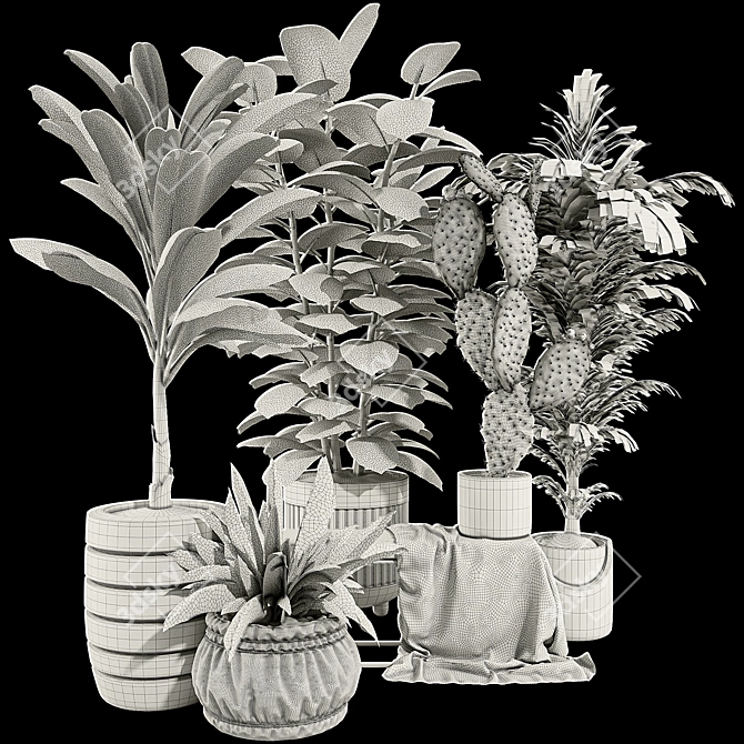 Boho Plant Collection Set 95 3D model image 7