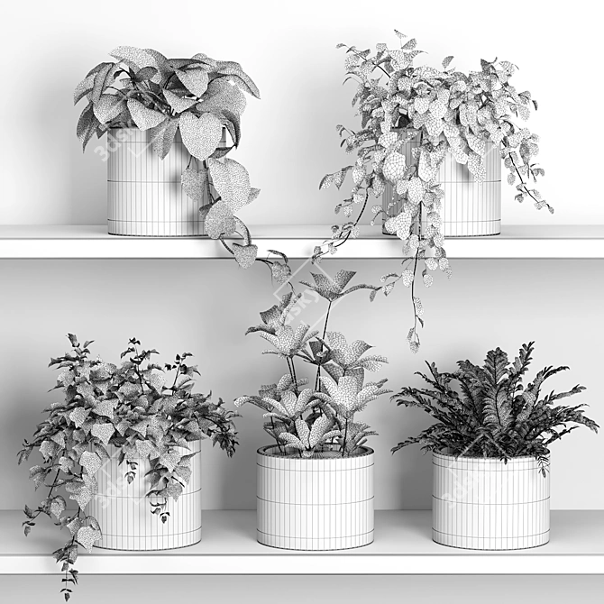 Potted Plants Shelf Display Stand 3D model image 2