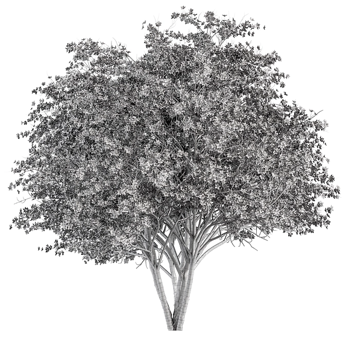 Pink Dogwood Tree Set 3D model image 3