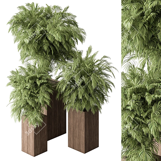 Tropical Palm Tree for Outdoors 3D model image 1