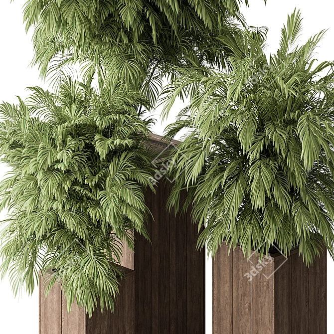 Tropical Palm Tree for Outdoors 3D model image 2